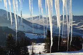 Oostenrijk, Hüttschlagg: Krokusvertier
